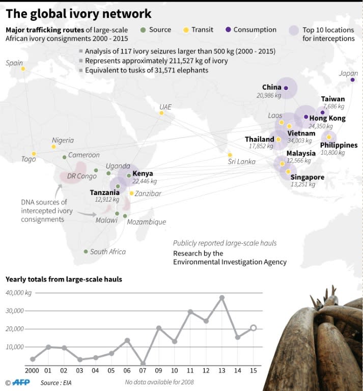 The global ivory network