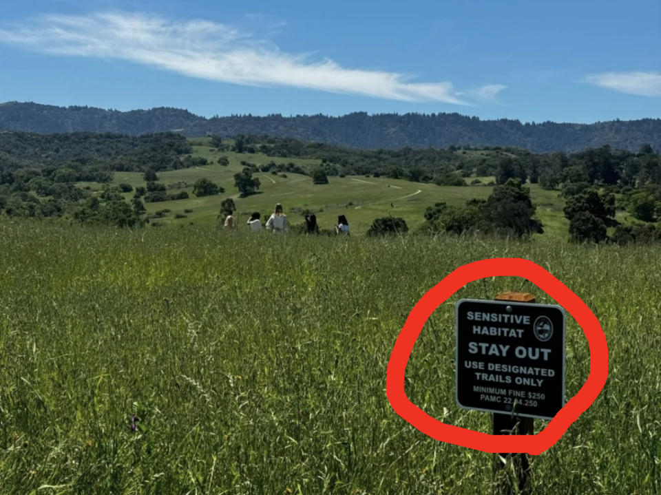 Group of people walk in the distance on a designated trail through a grassy field with a "Sensitive Habitat. Stay Out" sign in the foreground