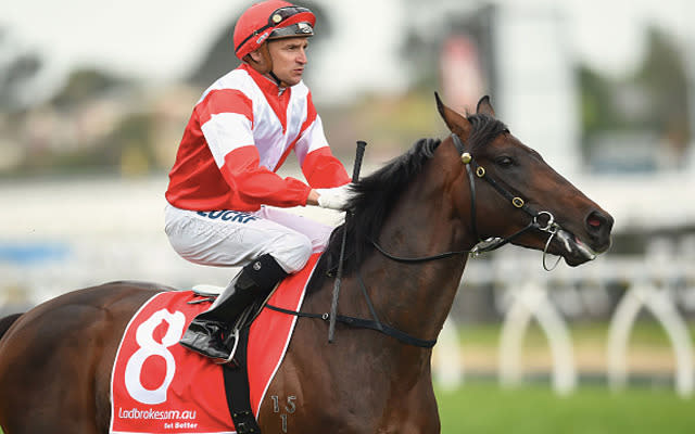 Improving run last time when 3rd behind Criterion in the Group One Caulfield Stakes. The betting market has the four-year-old as the early favourite. Is the winner of the ATC Derby over this trip.