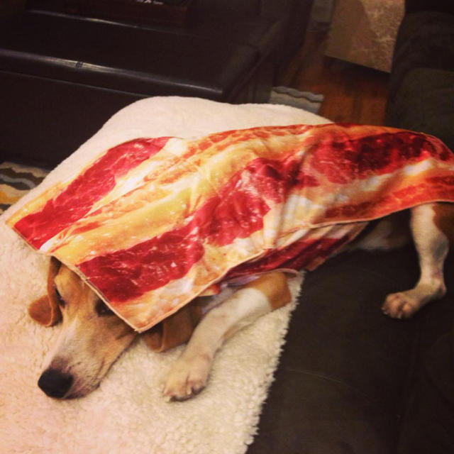 Bacon Costumes For Dogs, Bacon Pet Costumes