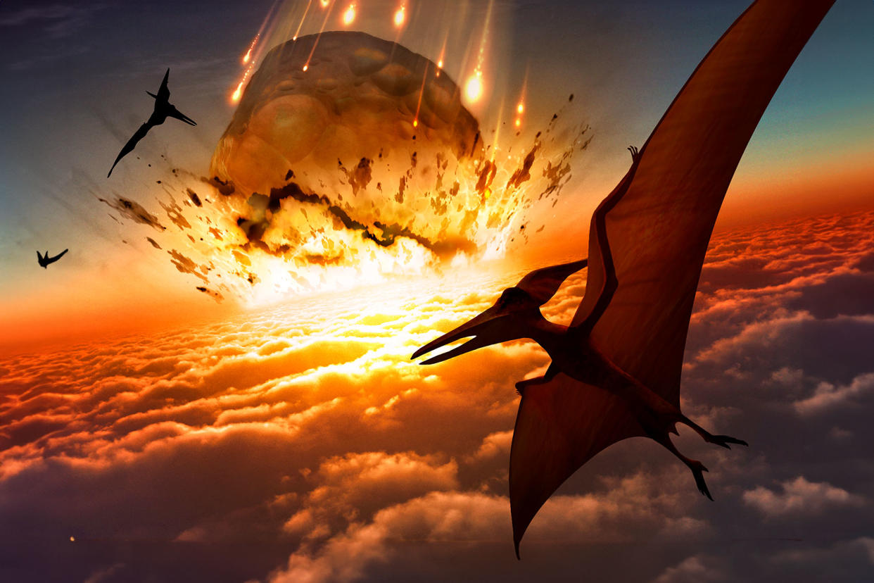 Illustration of Pteranodon sp. flying reptiles watching a massive meteor approaching Earth