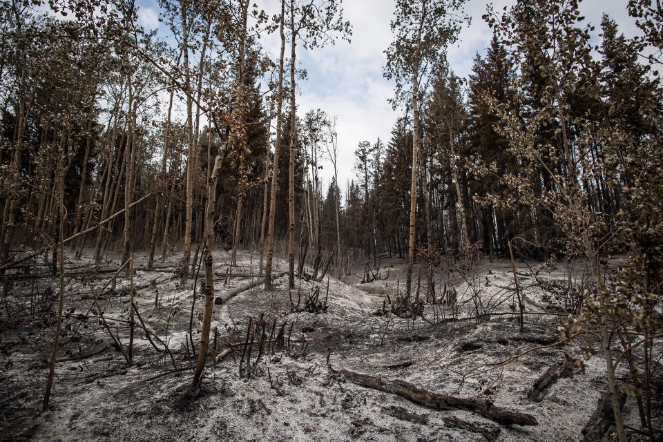 PHOTOS: B.C. wildfires choke western Canada in smoke