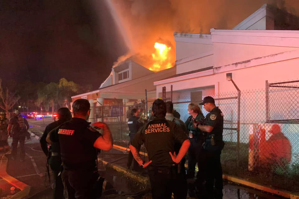 Image: Members of Orange County Animal Services, Orange County Fire Rescue and Pet Alliance of Greater Orlando respond to a fire at the Pet Alliance building on Wednesday night. (Orange County Sheriff's Office, Florida)