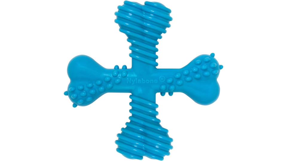 Image From Nylabone via Amazon.