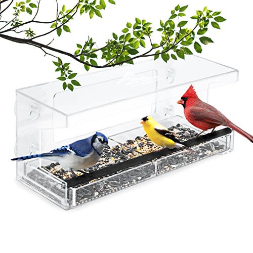 Wild Birds of Joy Window Feeder (Amazon / Amazon)