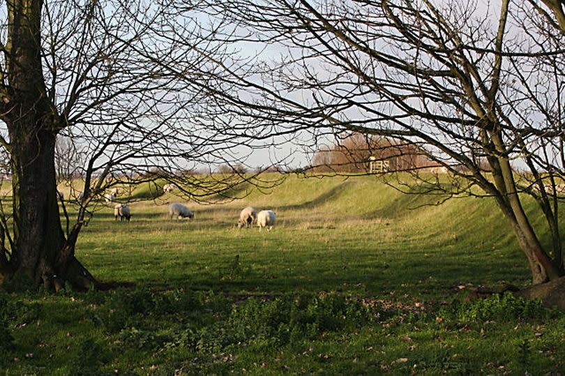 A defensive bank at Stonea Camp where a Roman battle is believed to have taken place