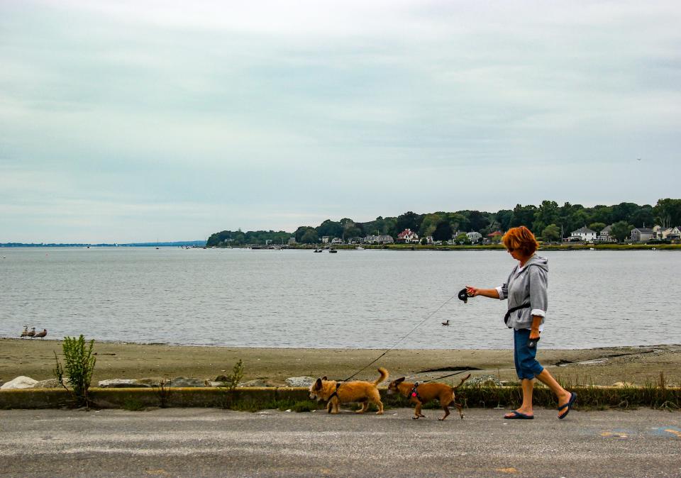 Linda Nogeiro of Fall River walks her dogs, Jaxon and Oscar, near the town boat ramp in Swansea's Ocean Grove neighborhood.