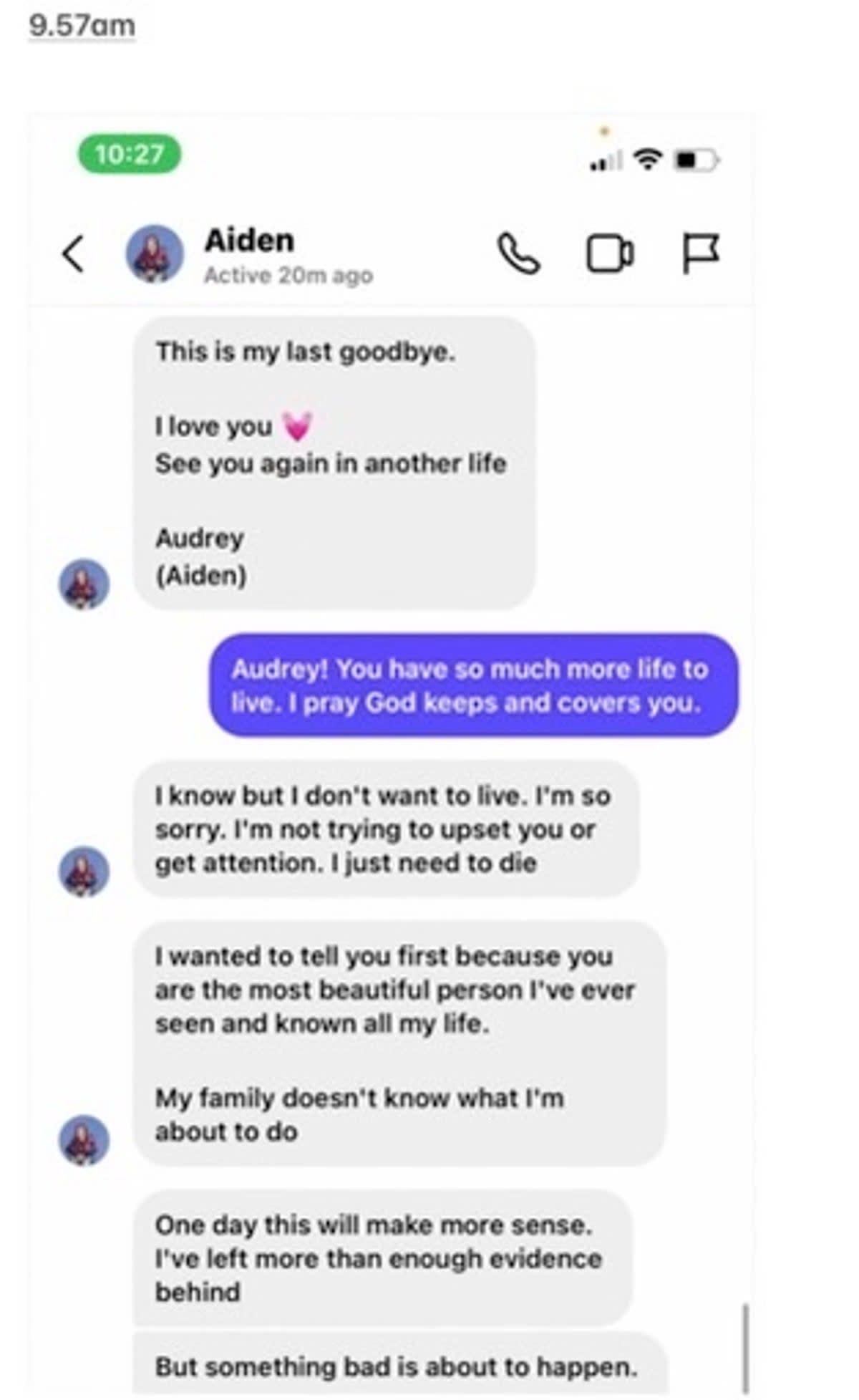 Audrey Hale’s friend says she received these messages minutes before the shooting (NewsChannel5)