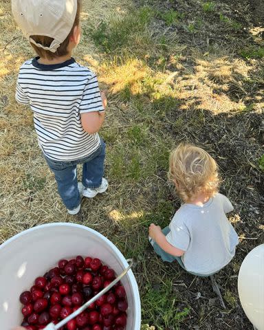 <p>Mandy Moore/Instagram</p> Mandy Moore's sons Gus and Ozzie enjoy some cherry picking
