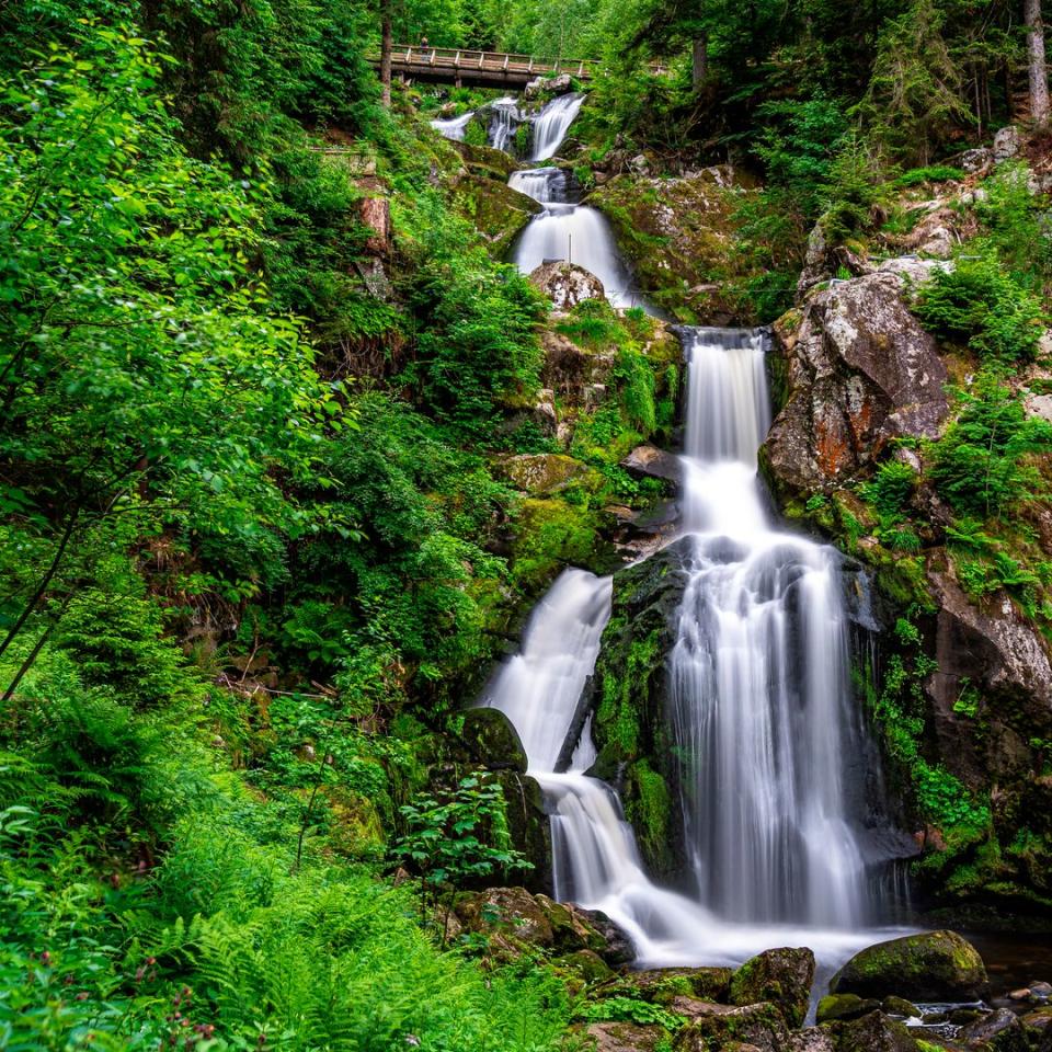 Cascadas de Triberg en la Selva Negra, Alemania