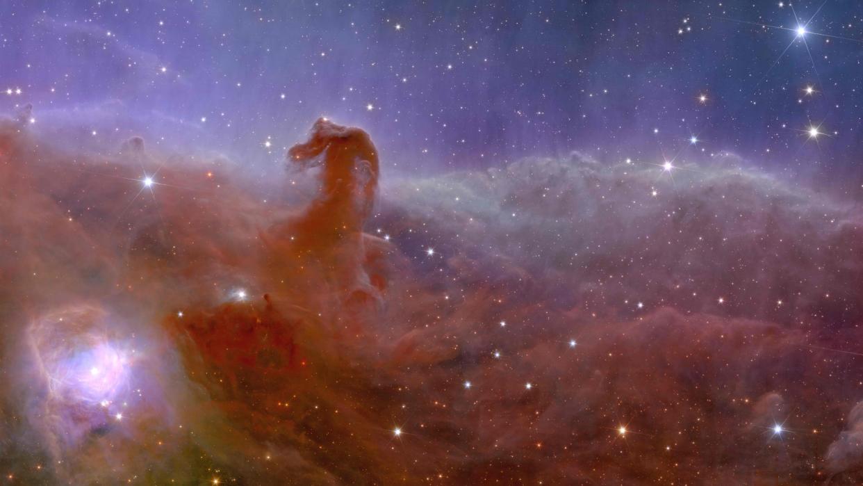  A purple and pink cloud in space that resembles a horse's head. 