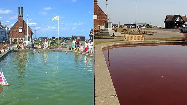 The pond before and after being turned red by a new cleaning product.