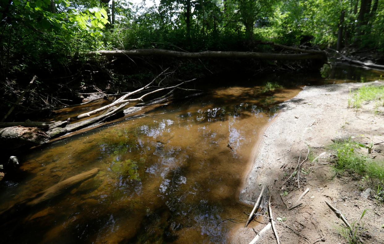 A section of Trout Creek pictured on June 2, 2023, in Oneida, Wis, which sits in the Lower Fox River watershed. Thanks to the Oneida Nations efforts to reduce phosphorus runoff, the creeks on the reservation have met phosphorus goals the last two years. This will ultimately mean less pollution in the river and bay of Green Bay as well as a healthier habitat for fish and wildlife.