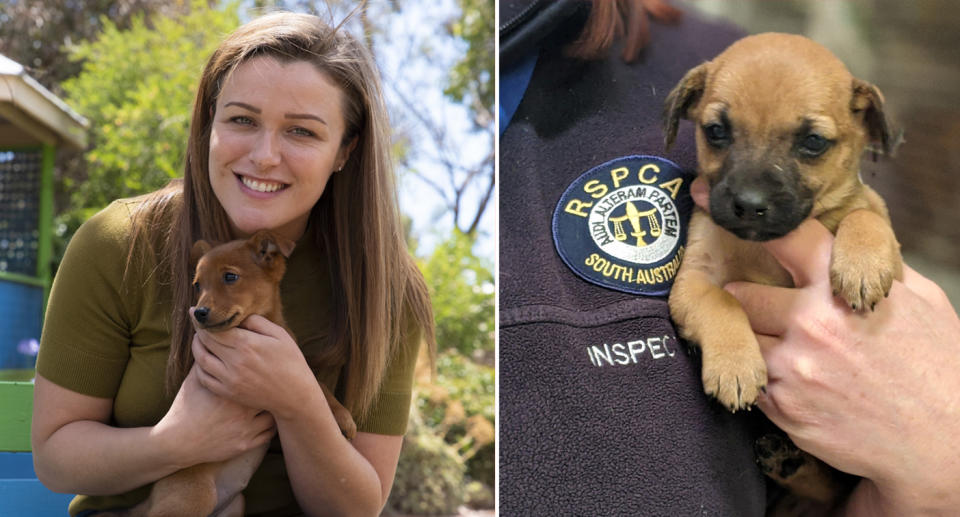 A woman adopts a puppy from the RSPCA SA after rescuing them.