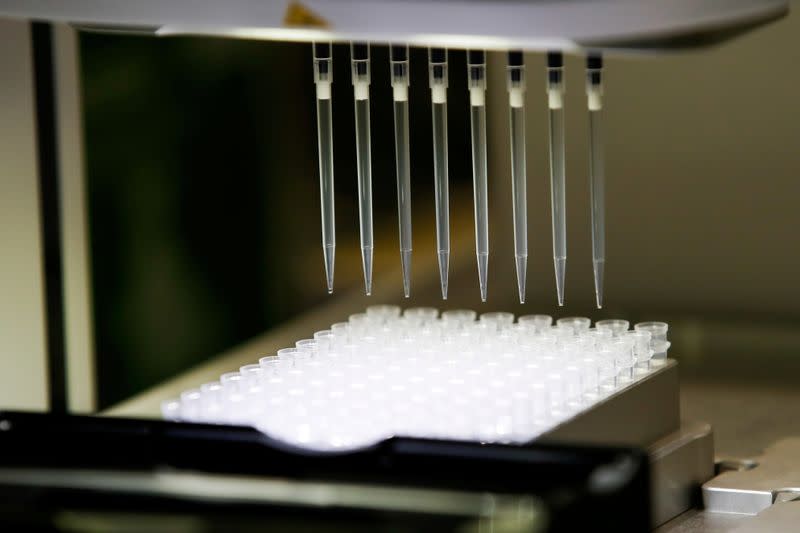 FILE PHOTO: Biologists on the fronline of the battle against COVID-19 work in a test laboratory near Paris