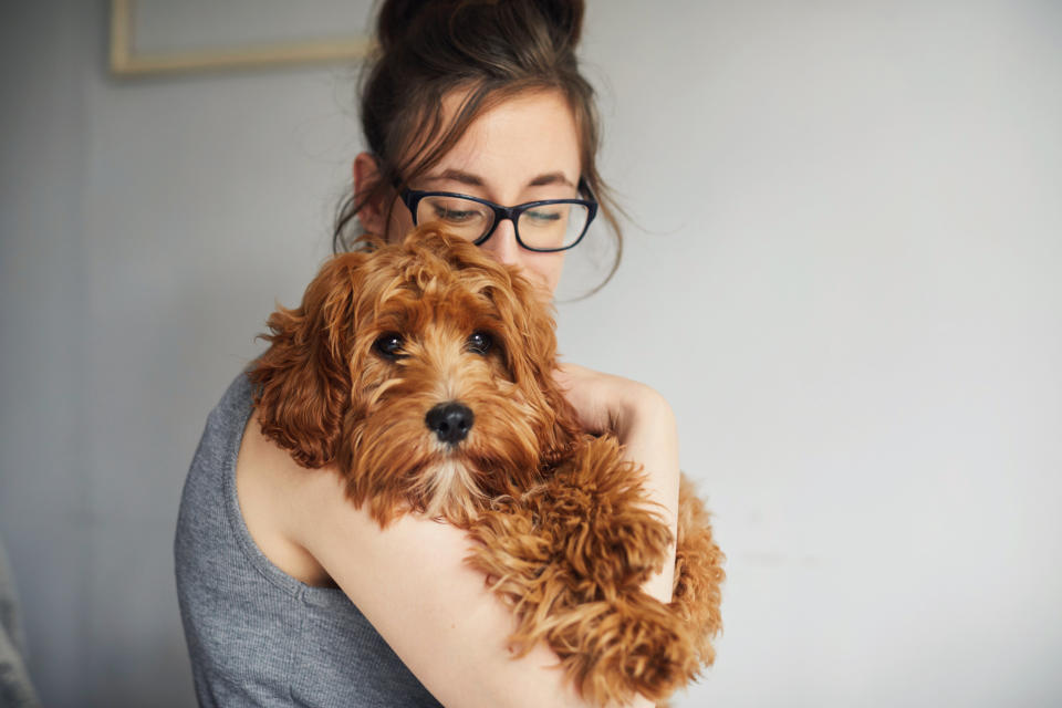 If you're working from home anyway, now might be a good time to adopt or foster a pet.&nbsp; (Photo: Sally Anscombe via Getty Images)