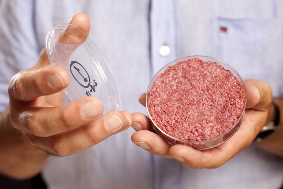 Der erste kultivierte Hamburger der Firma Mosa Meat kostete 2013 in der Produktion noch 250.000 US-Dollar. (Bild: Mosa Meat)