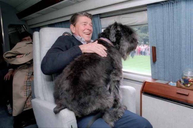 ronald reagan dog