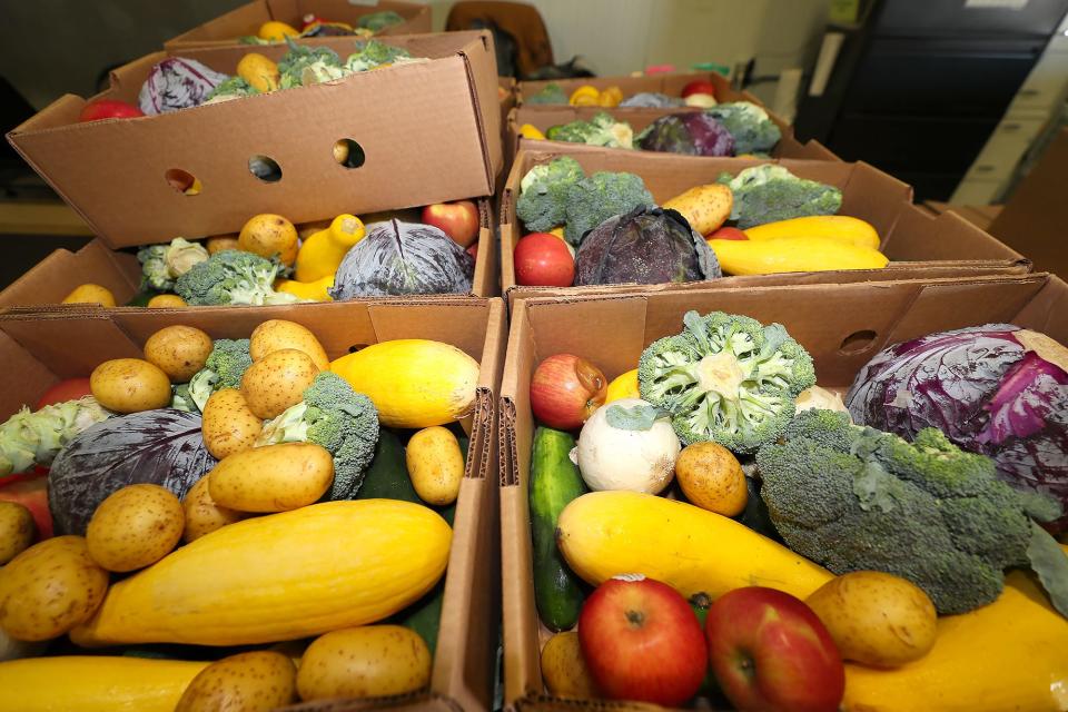 Vegetables and fruit are among the food donated to the Feeding Northeast Florida food bank, which recently merged with Bread of the Mighty in Gainesville.
