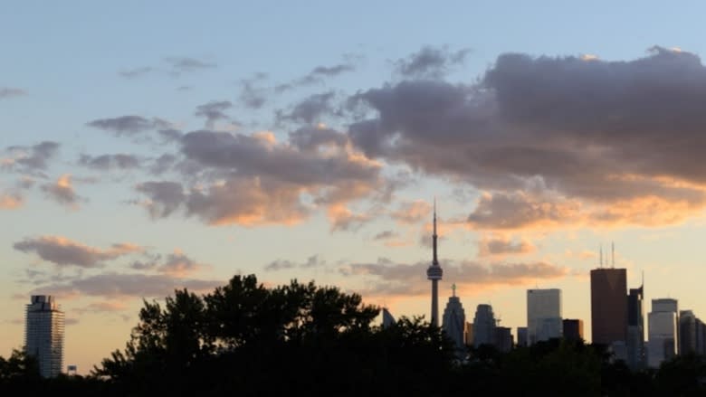 No fall harvest as popular market edged out by condo in Toronto's east end