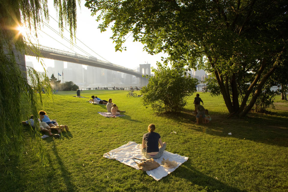 People relaxing in a park under the Brooklyn Bridge.