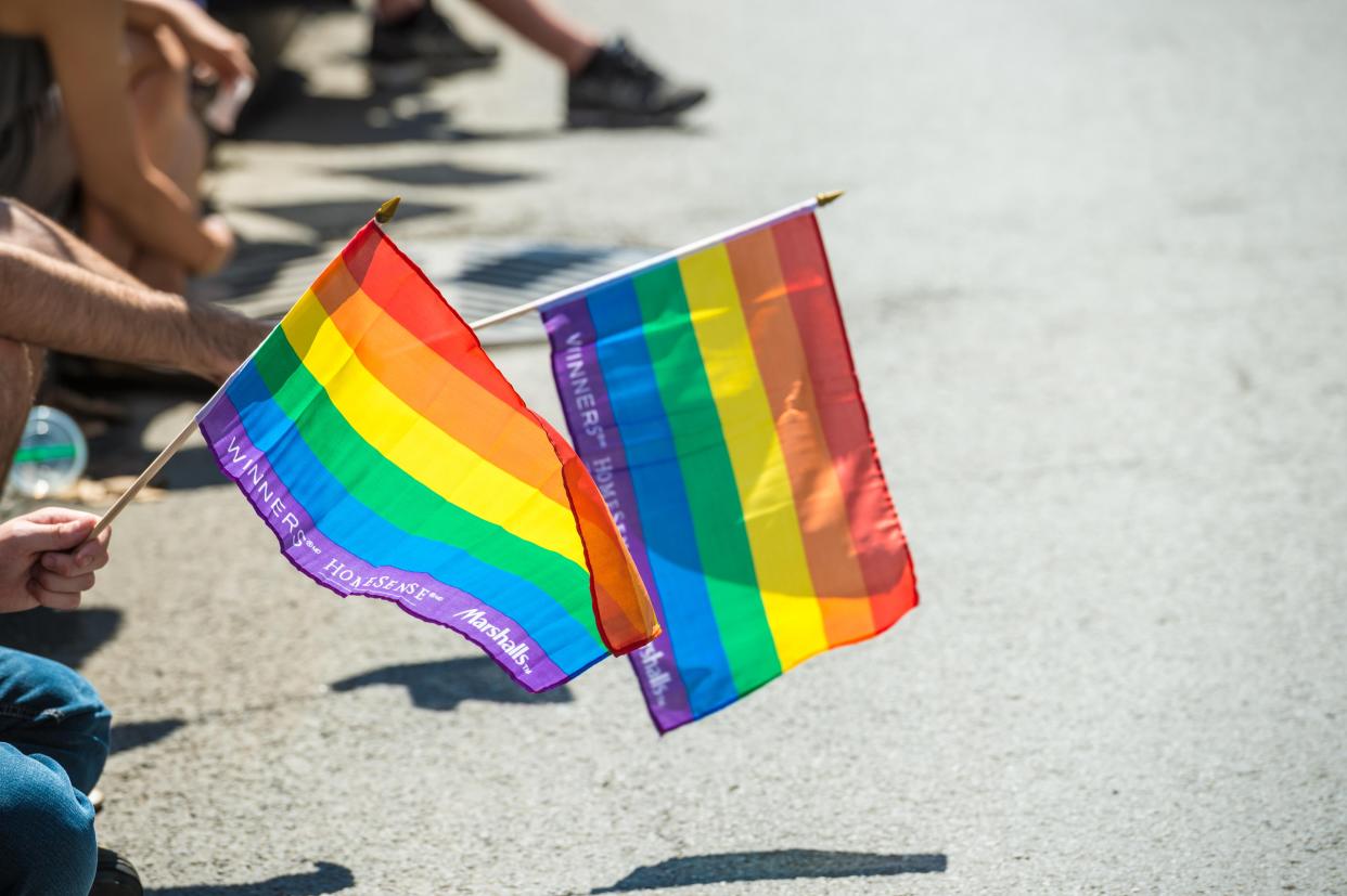 <p>Gay Pride spectators carrying Rainbow gay flags during Montreal Pride March</p>