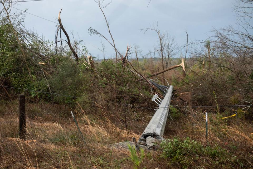 Downed trees and power lines along County Road 21 in Prattville, Ala., on Thursday, Jan. 12, 2023.