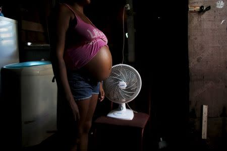 Daniele Kelly, 31, who is seven months pregnant, poses at the entrance of her stilt house, a lake dwelling also known as palafitte or 'Palafito', in Recife, Brazil, February 6, 2016. REUTERS/Nacho Doce