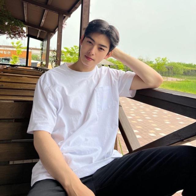 ASTRO Cha Eun Woo's Net Worth: From Making Over $5 Million From Acting, To  Owning A Luxurious Penthouse Worth $4 Million - This 'True Beauty' Star  Surely Shines The Brightest With His Earnings!