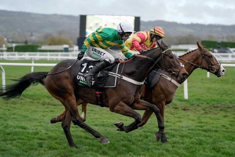 Iberico Lord (nearside) has already won at Cheltenham this season