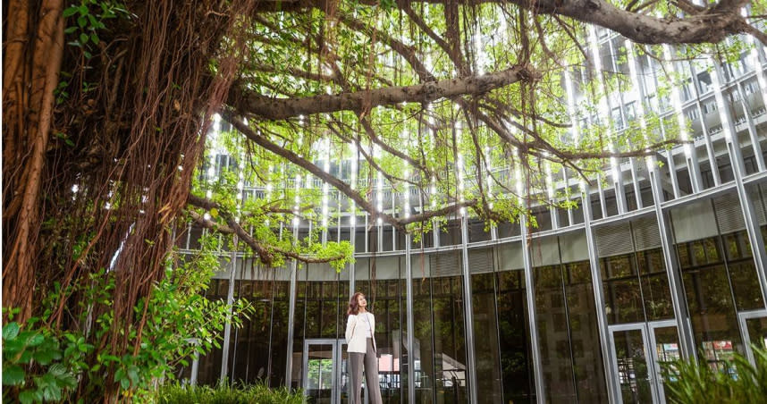 全球人壽副董事長林文惠，希望藉由北市第一號保育老樹「榕」的歷史意義，帶給「希望園區」科技跟人文感。（圖 ／全球人壽提供）