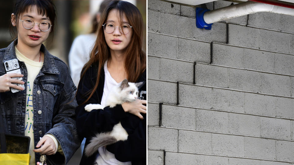 Pictured left are residents leaving Mascot Towers holding their belongings and pet cat. On the right is a large crack shown on a wall of the building. 