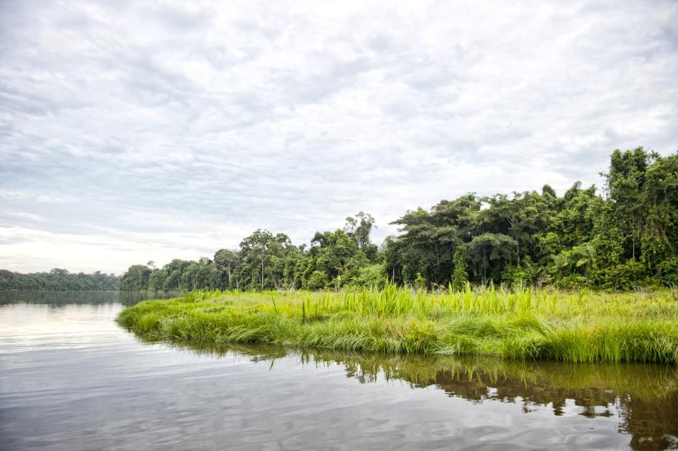 Take a safari on the Peruvian Amazon