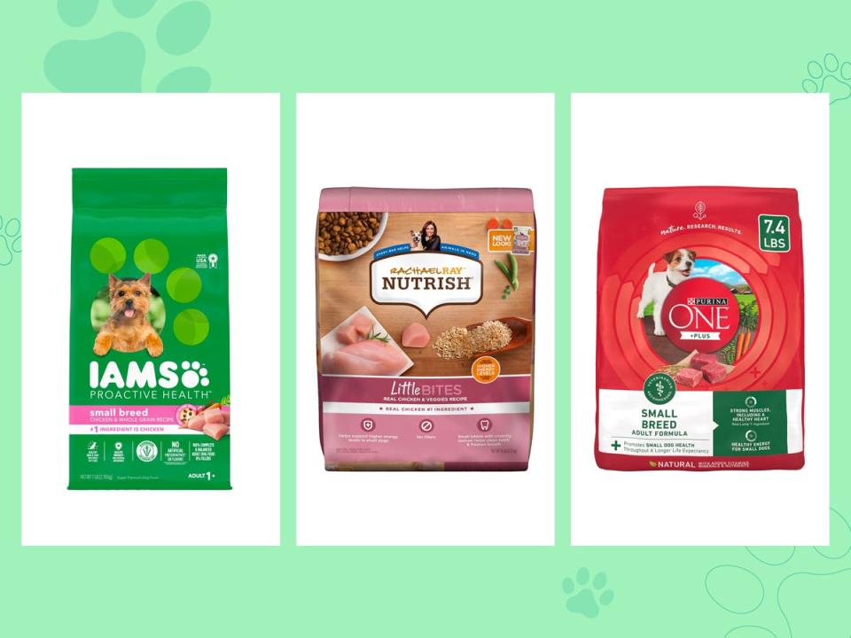 Three bags of the best budget dry food for small dogs from Purnia One +Plus, Rachel Ray Nutrish, and Iams on a green background.