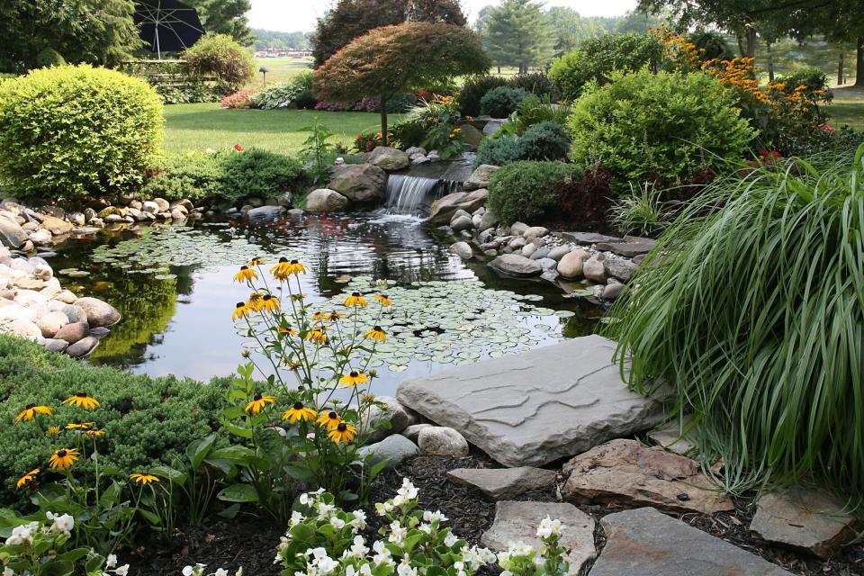 <p>These landscaping ideas can add interest to your lawn and boost your curb appeal. Use these tips to create a timeless landscape that is easy to maintain and great to look at.</p>