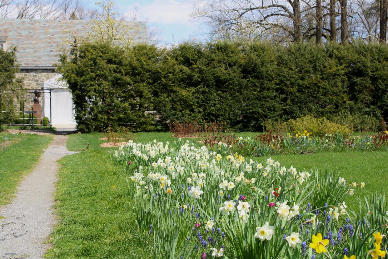 The Rose Garden at the Home of Franklin D. Roosevelt National Historic Site in Hyde Park on April 15, 2024.