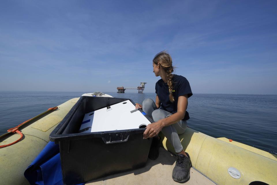 Marine biologist Linda Albonetti watches from a boat after releasing a turtle named Vulcano back into the Adriatic Sea near Marina di Ravenna, Italy, Saturday, June 8, 2024. A methane extraction platform is visible in the distance. (AP Photo/Luca Bruno)