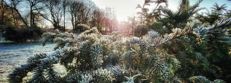 A winters morning frost covers Orford Park by Tony Crawford