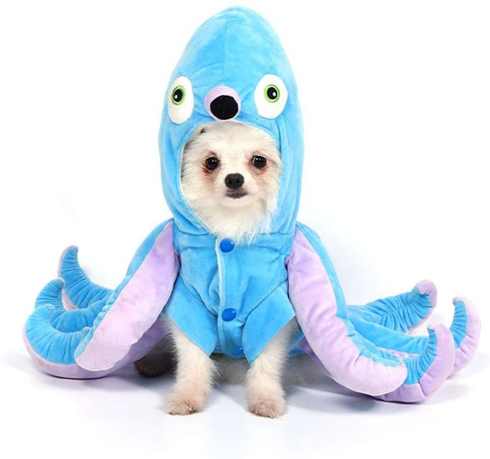 octopus dog costume for halloween