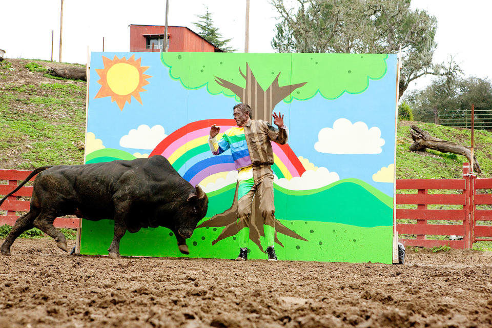 Johnny Knoxville disguised partially as a rainbow while a bull charges at him