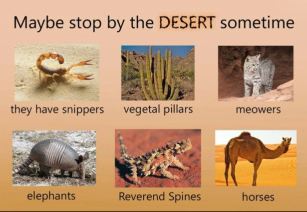 deserts