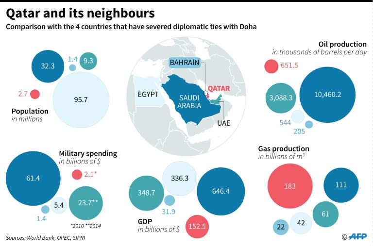 Comparison of Qatar with the 4 countries that have severed diplomatic ties with Doha. US Secretary of State Rex Tillerson is travelling to the region to discuss the crisis