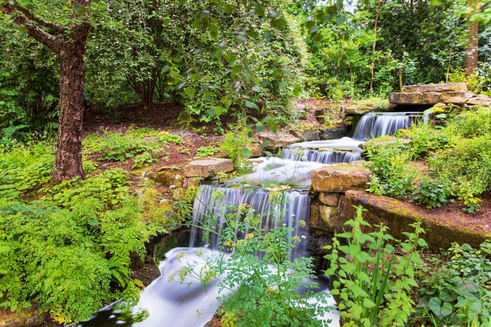 <p>A ravine cutting through birch trees creates a waterfall to oxygenate the lake below. The water "adds a real sense of sound and movement in this part of the garden," Lane explains. "The lake adds such an important dimension to the landscape."</p>