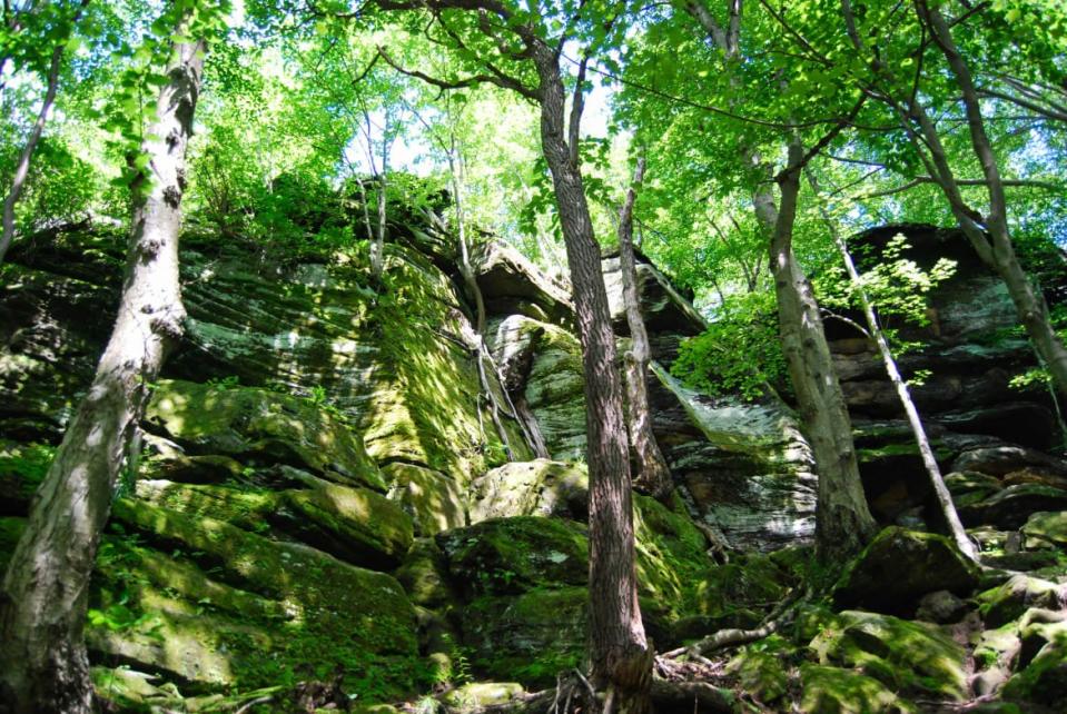 <div class="inline-image__caption"><p>"The glowing lichen of The Ledges at Cuyahoga Valley National Park"</p></div> <div class="inline-image__credit">Photo courtesy, Brandon Withrow</div>