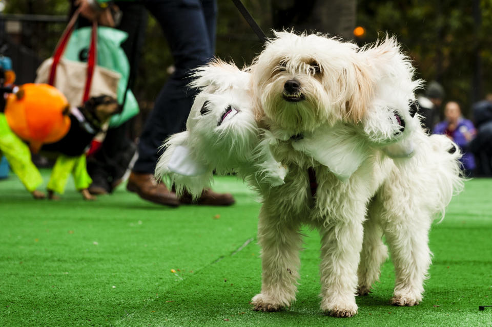 <p><i>[Photo: Getty]</i> </p>