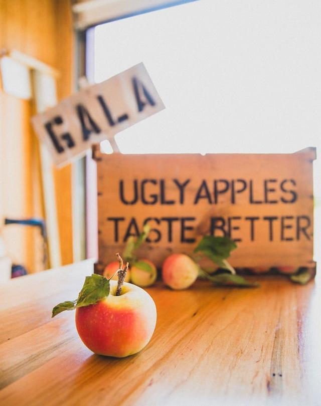 Apple Bags for Picking Apples / Pears (prepay for U-Pick)