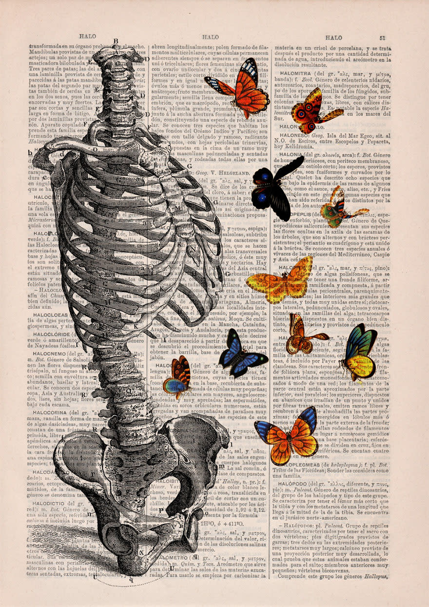 These anatomical drawings on old book pages are so beautiful that you'll want to wallpaper your room with them