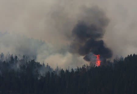 A wildfire burns north east of the town of Cache Creek, British Columbia, Canada July 18, 2017. REUTERS/Ben Nelms