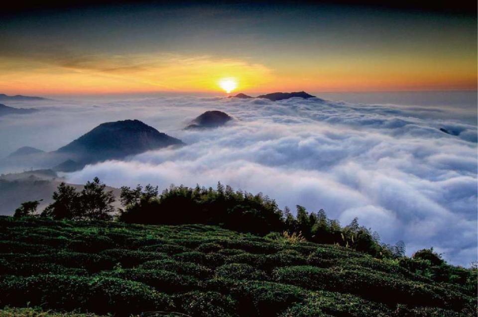 雲嶺之丘雲海（圖片來源：古坑鄉公所）