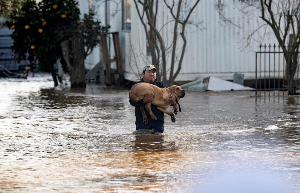 Local resident Fidel Osorio rescues a dog from a flooded home in Merced, California (AFP via Getty Images)